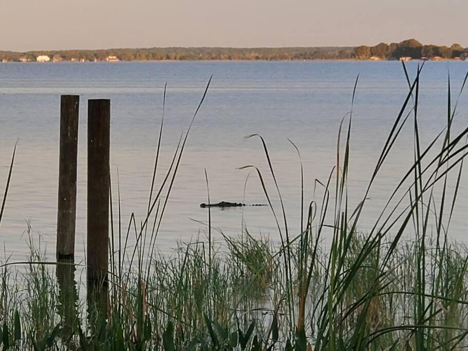 Camp St. Cabanas Unit 2 On Lake Dora Tavares Exteriör bild